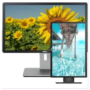 DELL P2214Hb Occasion - Moniteur 21.5 pouces rotatif